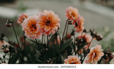 揭秘28娱乐平台：安全性、奖金和用户评价全解析