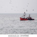 欧博入口使用指南:如何安全便捷地注册和登录 2hblogx0u