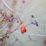 探索豪门国际APP官网:畅享全球娱乐与服务的全新体验 4p3k0l9