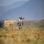 汇旺娱乐:探索全新娱乐体验的无限可能性 ae14kp6taz