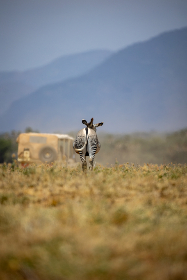 汇旺娱乐：探索全新娱乐体验的无限可能性