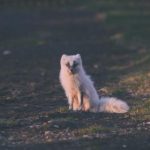 欧博游戏官网:如何选择适合自己的游戏项目 fegoqf0r