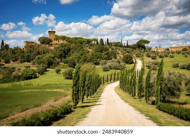 探讨pg直营站在行业中的发展前景与挑战