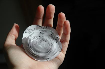 新博2官网：探索全新在线娱乐平台的无限可能