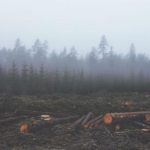 杏彩体育官方网站:畅享全球体育赛事的最佳平台 tusoo