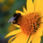 探索金喜体育平台的多样化功能与用户互动模式 y4ux9tkk8n