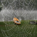 10月21日中国福利彩票最新开奖结果公布 3aq3w