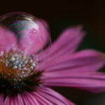 10月4日最新彩票开奖结果查询与中奖号码公布 5l6mgr1cev