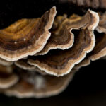 110期开奖号码最新公布结果查询 7z6gd4m