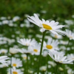 2月17日3D开奖结果揭晓,幸运号码震撼公布 98isrn