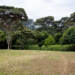 10月22日大乐透最新开奖结果及中奖号码公布 ai1aq4