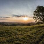 2m永久免费开奖结果实时更新查询 m2i25krw